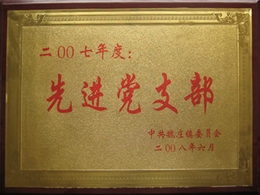 08年企业荣誉